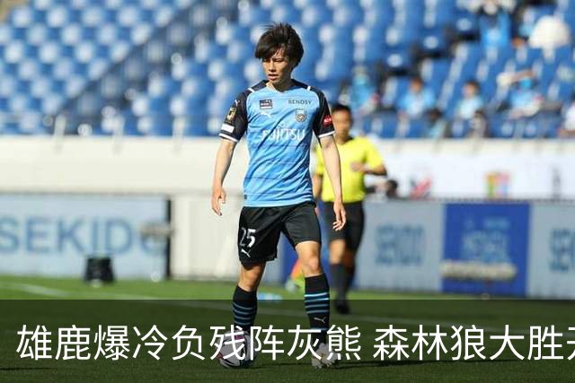 雄鹿爆冷负残阵灰熊 森林狼大胜开拓者4连胜